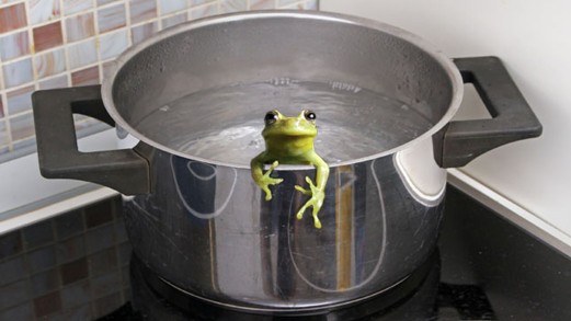Frog boil the The Boiling